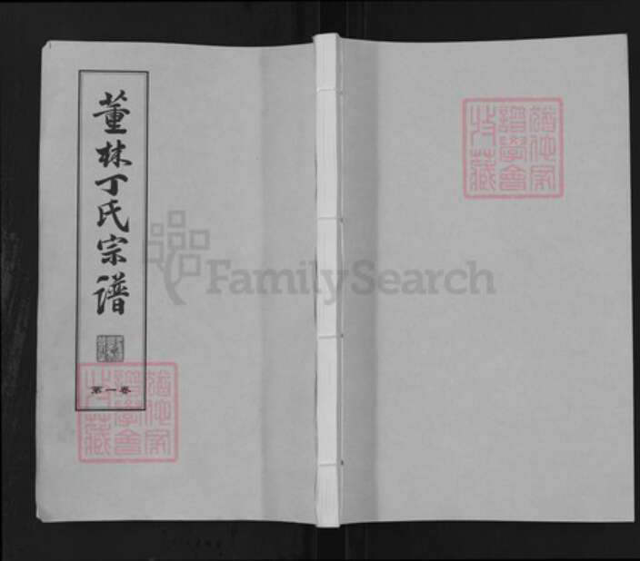 江苏省常州市江苏省常州市武进县丁氏双桂堂族谱-董林丁氏宗谱.pdf电子版缩略图