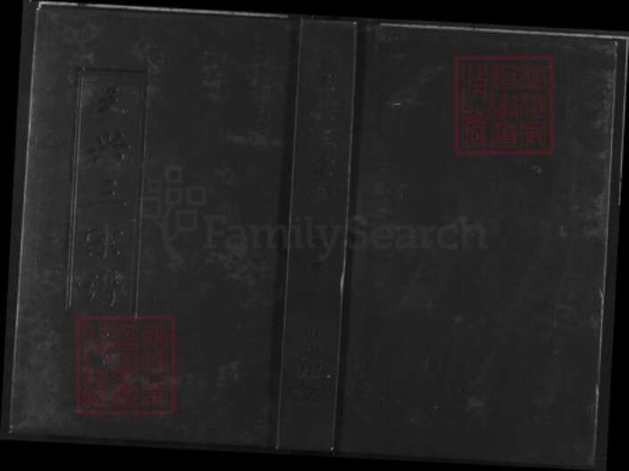 湖北省武汉市新洲区王氏光裕堂族谱-王兴三宗谱.pdf电子版缩略图