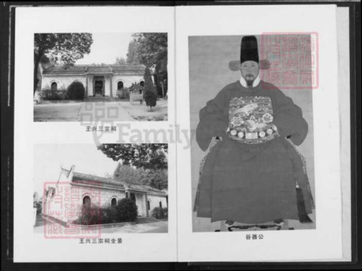湖北省武汉市新洲区王氏光裕堂族谱-王兴三宗谱.pdf电子版预览图2