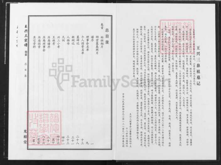 湖北省武汉市新洲区王氏光裕堂族谱-王兴三宗谱.pdf电子版预览图4