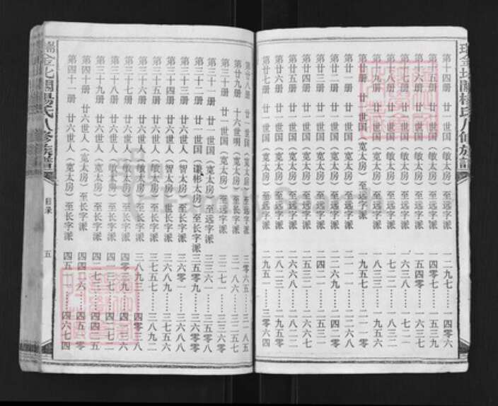 江西省赣州市瑞金市杨氏族谱-瑞金北关杨氏八修族谱.pdf电子版预览图5