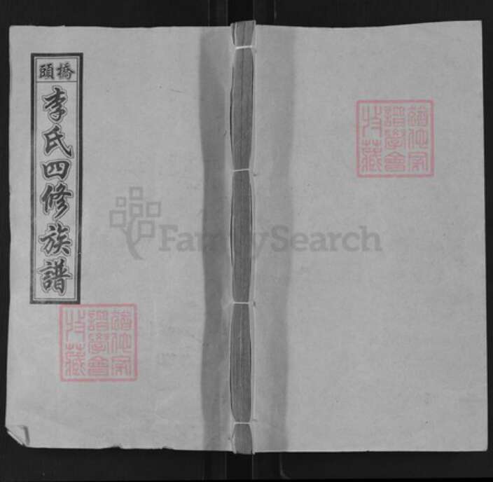 湖南省湘潭市湘乡市山枣镇李氏报本堂族谱-桥头李氏四修族谱.pdf电子版缩略图