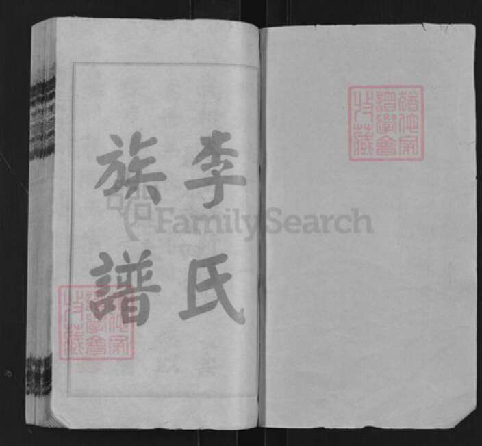 湖南省湘潭市湘乡市山枣镇李氏报本堂族谱-桥头李氏四修族谱.pdf电子版预览图1