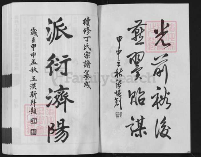 江苏省常州市武进县丁氏双桂堂族谱-董林丁氏宗谱.pdf电子版预览图2