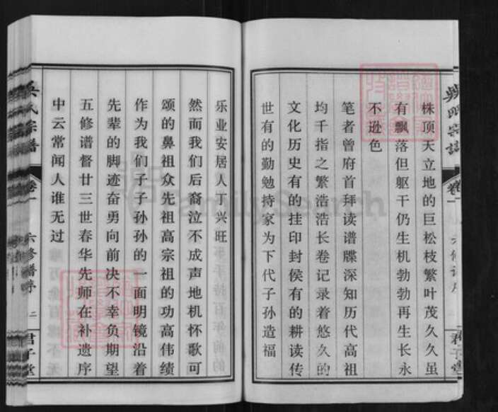 安徽省安庆市桐城市吴氏君子堂族谱-吴氏宗谱.pdf电子版预览图2