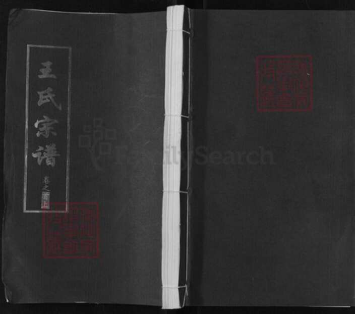 湖北省武汉市新洲区王氏三槐堂族谱-王氏宗谱.pdf电子版缩略图