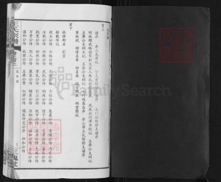 湖北省武汉市新洲区王氏三槐堂族谱-王氏宗谱.pdf电子版预览图1