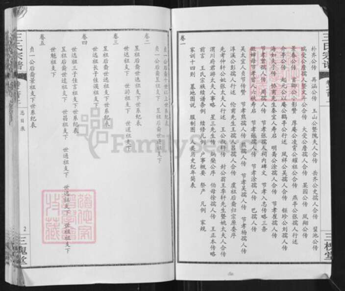 湖北省武汉市新洲区王氏三槐堂族谱-王氏宗谱.pdf电子版预览图2