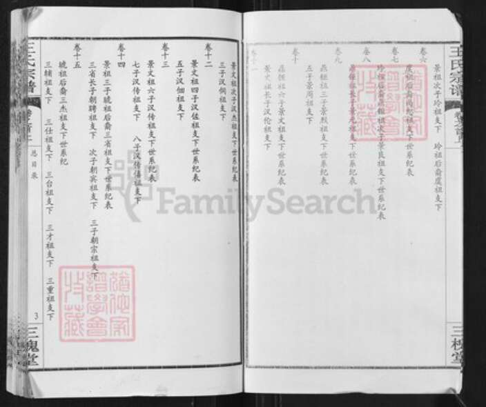 湖北省武汉市新洲区王氏三槐堂族谱-王氏宗谱.pdf电子版预览图3