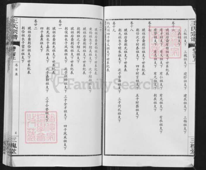 湖北省武汉市新洲区王氏三槐堂族谱-王氏宗谱.pdf电子版预览图4