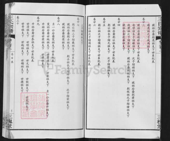 湖北省武汉市新洲区王氏三槐堂族谱-王氏宗谱.pdf电子版预览图5
