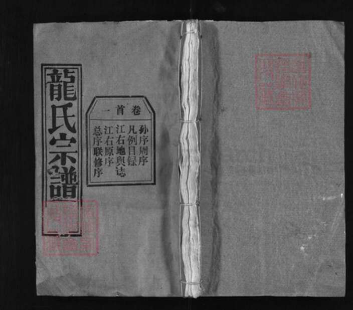 湖北省黄冈市黄州区龙氏族谱-龙氏宗谱 [68卷, 首7卷].pdf电子版缩略图