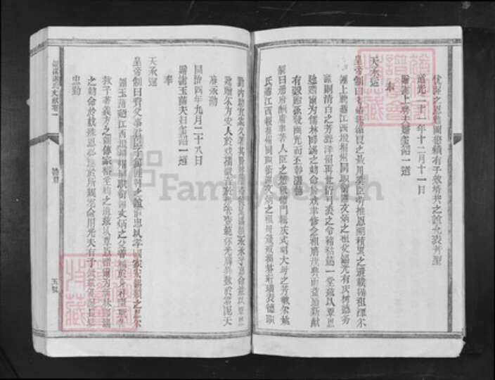 江西省吉安市吉水县谢氏族谱-银溪谢氏文献[4卷文献8卷].pdf电子版预览图5