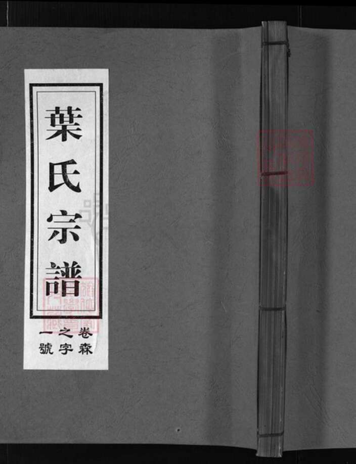 浙江省叶氏族谱-南阳叶氏宗谱 [37卷].pdf电子版缩略图