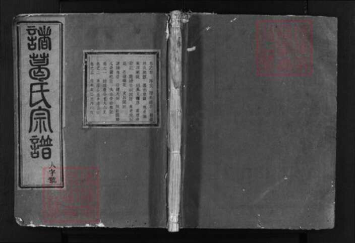 浙江省诸葛氏族谱-诸葛氏宗谱[含卷首共21卷].pdf电子版缩略图