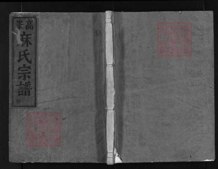 浙江省麻氏族谱-高峰麻氏宗谱 [8卷].pdf电子版缩略图