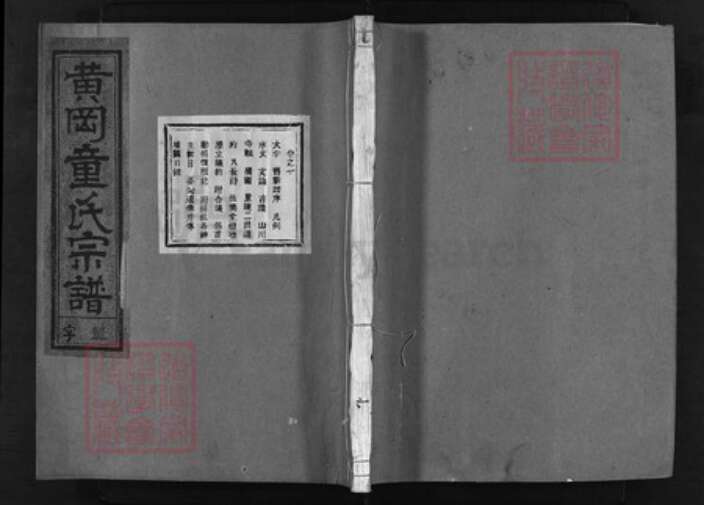 浙江省童氏族谱-黄冈童氏族谱 [20卷].pdf电子版缩略图