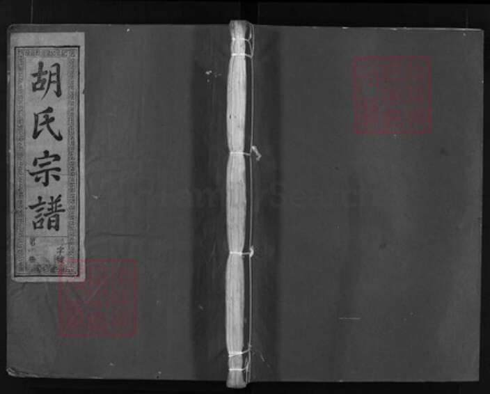 浙江省胡氏族谱-安定胡氏宗谱 [8卷].pdf电子版缩略图