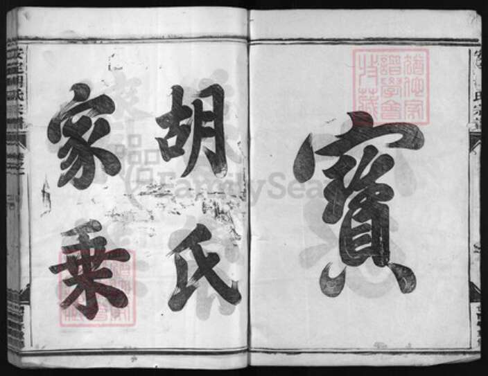 浙江省胡氏族谱-安定胡氏宗谱 [8卷].pdf电子版预览图2