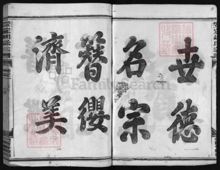 浙江省胡氏族谱-安定胡氏宗谱 [8卷].pdf电子版预览图3