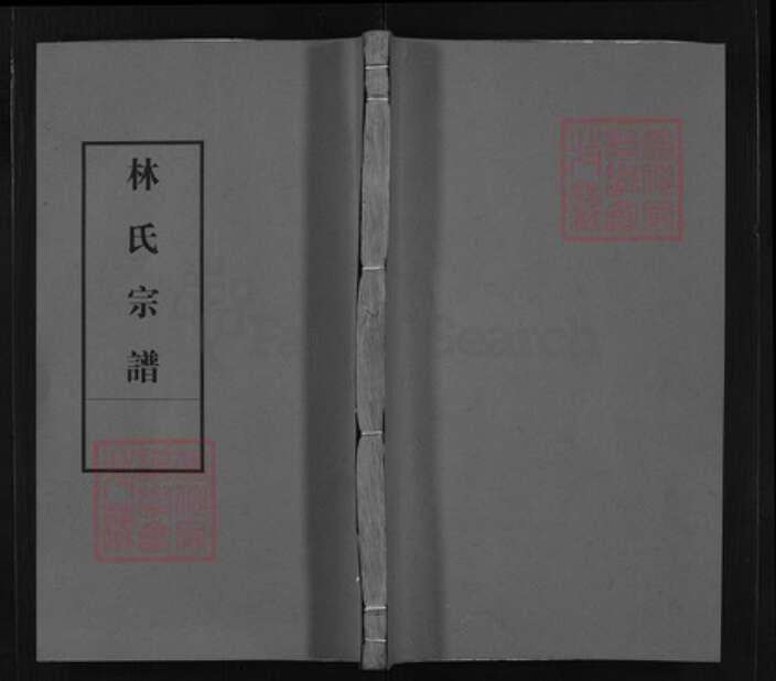 江西省上饶市林氏族谱-林氏宗谱 [不分卷].pdf电子版缩略图