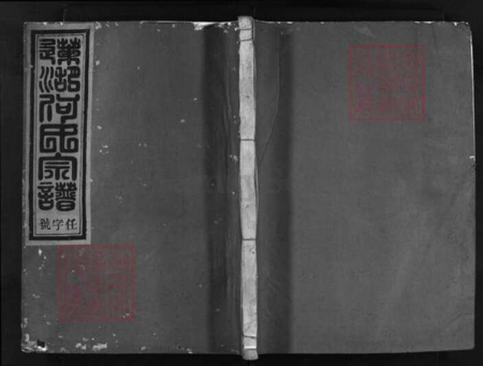 浙江省何氏族谱-瀫西莲湖何氏宗谱 [卷数混乱].pdf电子版缩略图