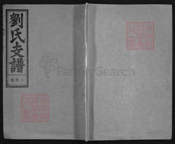 安徽省安庆市潜山市刘氏族谱-刘氏支谱 [45卷,首末各1卷].pdf电子版缩略图