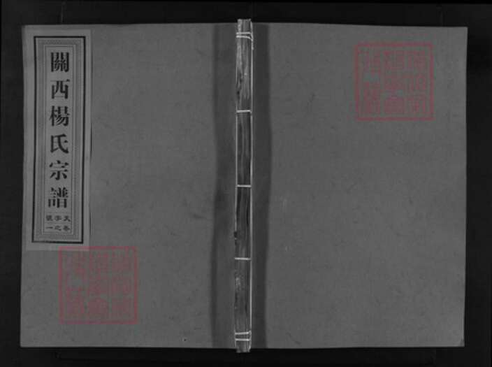 浙江省杨氏族谱-闗西杨氏宗谱 [7卷].pdf电子版缩略图