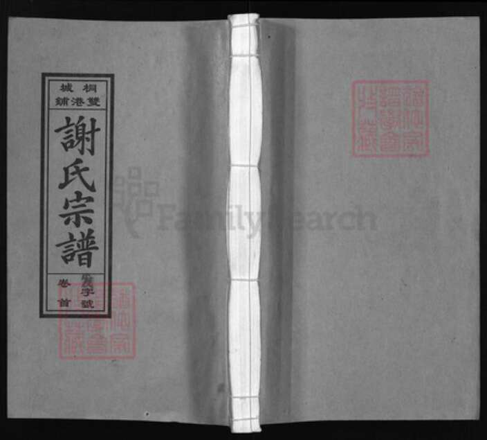 安徽省安庆市桐城市谢氏族谱-桐城双港铺谢氏宗谱 [23卷,首末各1卷].pdf电子版缩略图