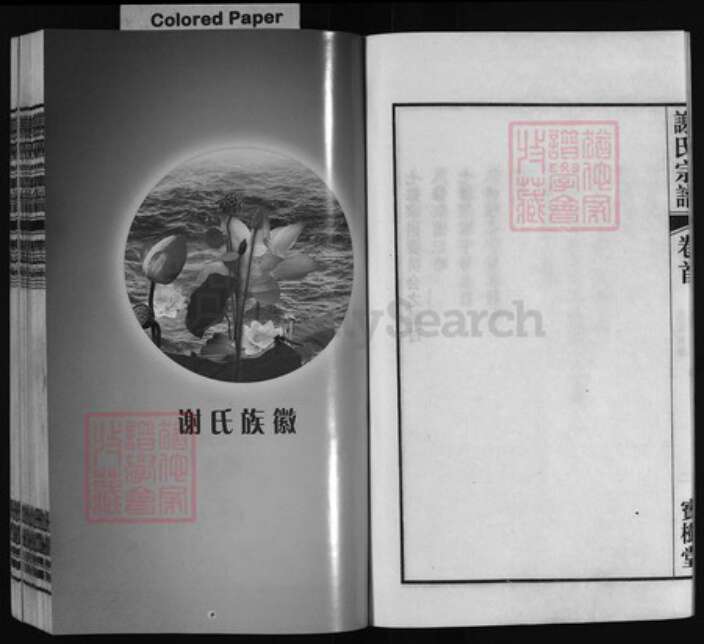 安徽省安庆市桐城市谢氏族谱-桐城双港铺谢氏宗谱 [23卷,首末各1卷].pdf电子版预览图3