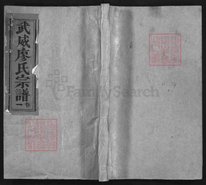 浙江省丽水市松阳县福建省三明市将乐县福建省泉州市安溪县江西省上饶市廖氏族谱-武威廖氏宗谱 [24卷].pdf电子版缩略图