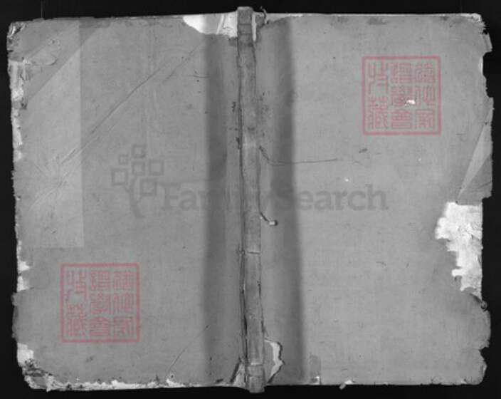 浙江省徐氏族谱-登胜徐氏宗谱 [10卷].pdf电子版缩略图