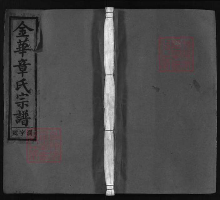 浙江省金华市章氏族谱-金华章氏宗谱 [34卷].pdf电子版缩略图