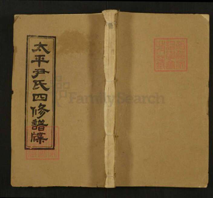 湖南省邵阳市邵东市尹氏穆清堂族谱-太平尹氏四修族谱.pdf电子版缩略图