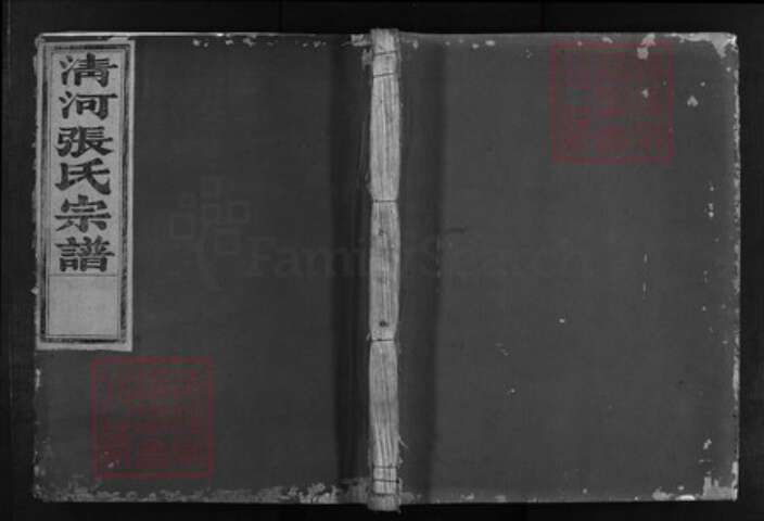 浙江省张氏族谱-清溪张氏家谱 [16卷].pdf电子版缩略图