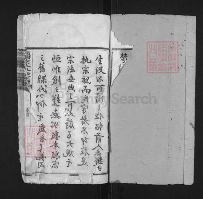 湖南省湘潭市李氏族谱-湘潭高塘李氏九修家谱.pdf电子版预览图1