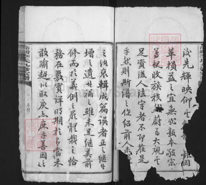 湖南省湘潭市李氏族谱-湘潭高塘李氏九修家谱.pdf电子版预览图2