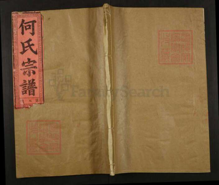 湖北省咸宁市何氏三何堂族谱-何氏宗谱.pdf电子版缩略图