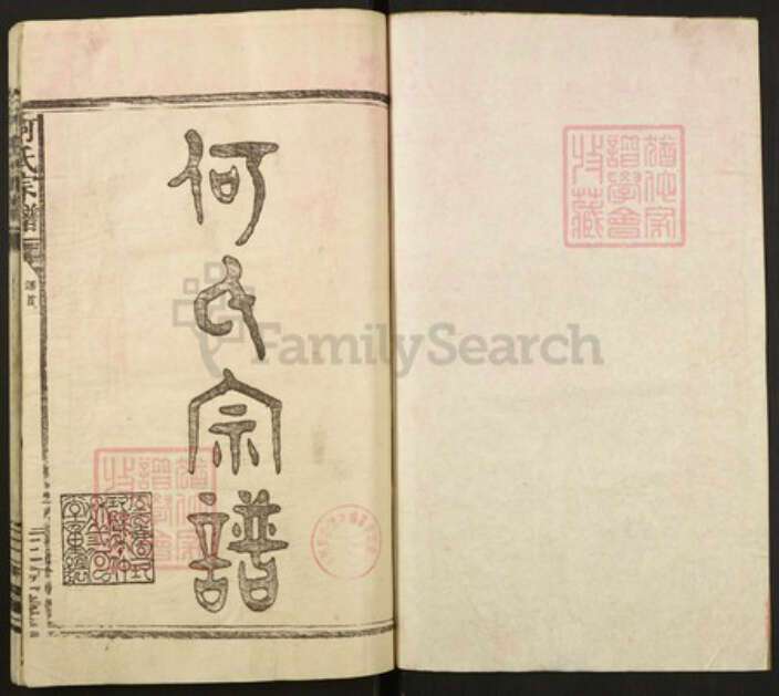 湖北省咸宁市何氏三何堂族谱-何氏宗谱.pdf电子版预览图1