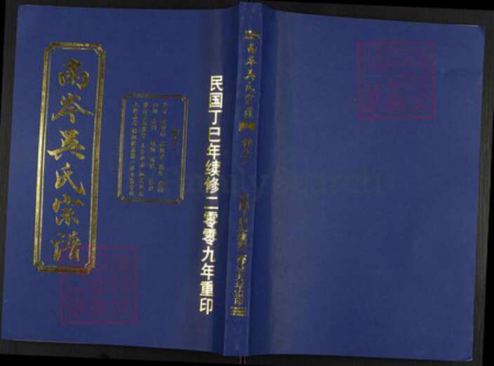 浙江省台州市仙居县田市镇吴氏族谱-南岑吴氏宗谱.pdf电子版缩略图