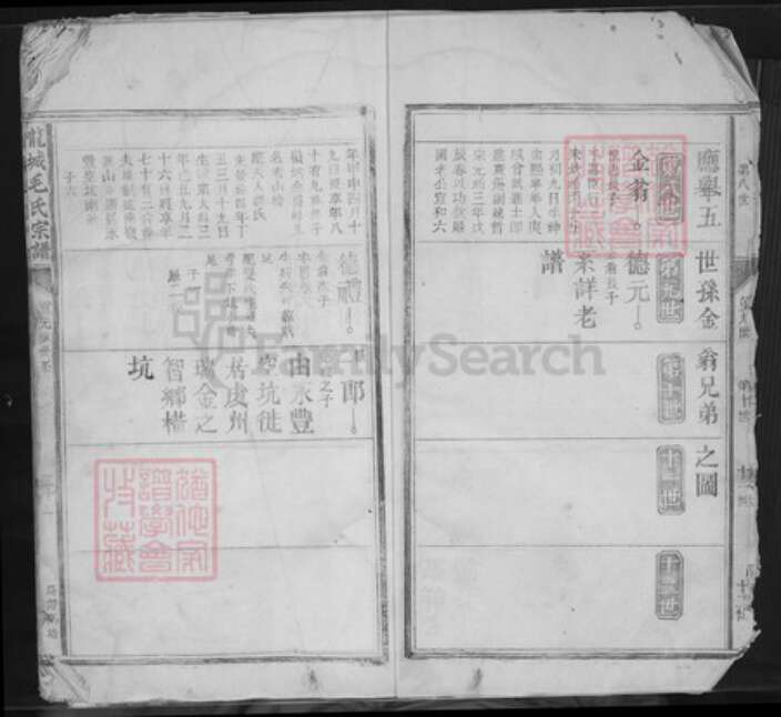 江西省吉安市吉水县八都镇毛氏族谱-龙城毛氏三派宗谱.pdf电子版预览图5