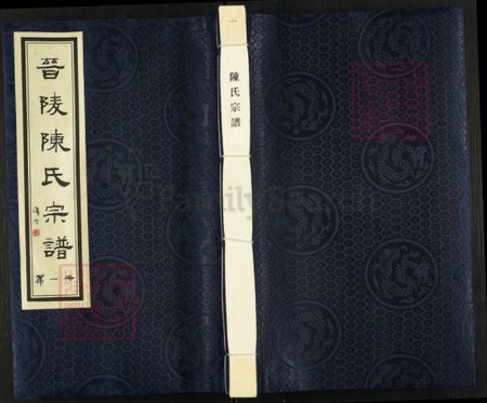 江苏省常州市武进县陈氏星聚堂族谱-晋陵陈氏宗谱.pdf电子版缩略图