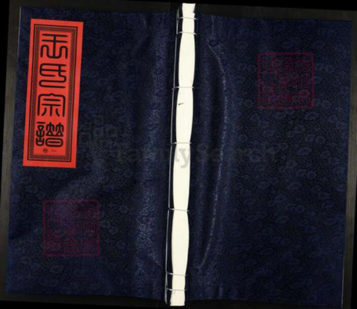 江西省上饶市鄱阳县双港镇王氏族谱-太原王氏宗谱.pdf电子版缩略图