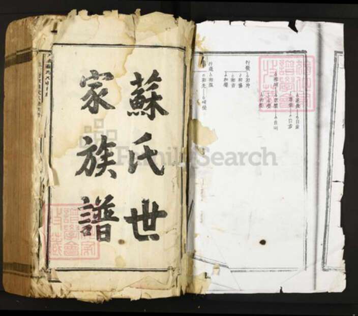 江西省吉安市永丰县苏氏族谱-永丰将军苏氏八修族谱.pdf电子版预览图1