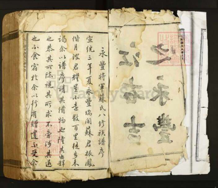 江西省吉安市永丰县苏氏族谱-永丰将军苏氏八修族谱.pdf电子版预览图2