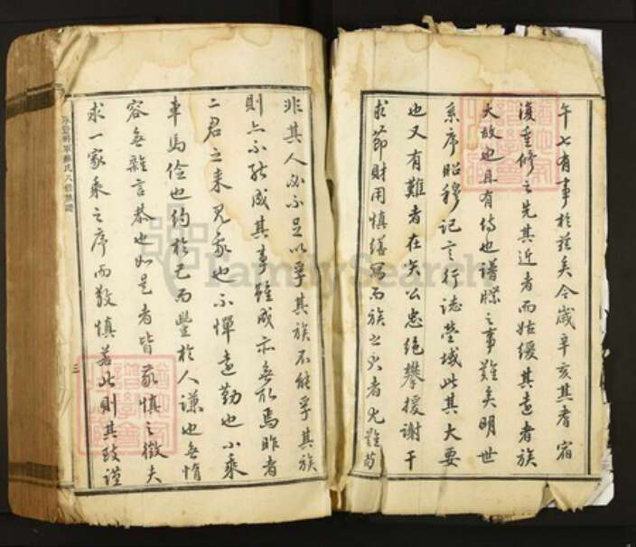 江西省吉安市永丰县苏氏族谱-永丰将军苏氏八修族谱.pdf电子版预览图3