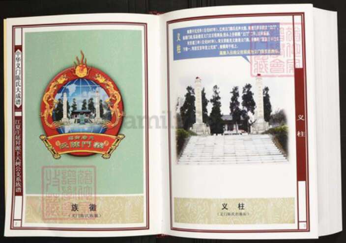 湖北省咸宁市陈氏族谱-中华义门陈氏大成谱江夏庄延升派下天树公支系族谱.pdf电子版预览图2