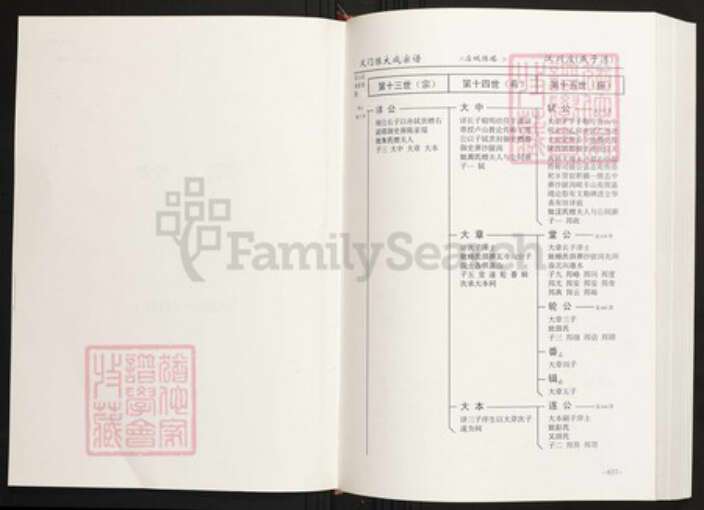 湖北省孝感市汉川市陈氏族谱-中华义门陈氏大宗谱汉川庄(燕子湾).pdf电子版预览图2