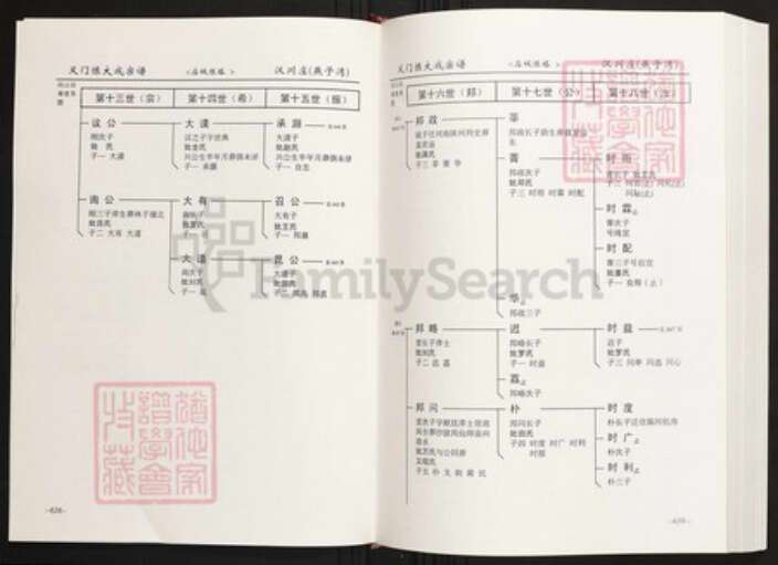 湖北省孝感市汉川市陈氏族谱-中华义门陈氏大宗谱汉川庄(燕子湾).pdf电子版预览图3