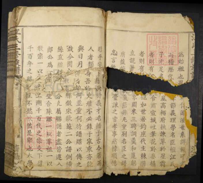 江西省赣州市兴国县江氏族谱-江氏三修族谱.pdf电子版预览图2